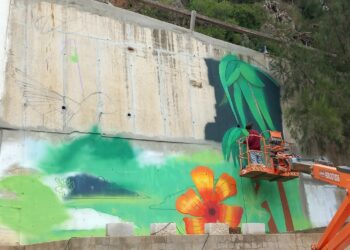 Casares contará en breve con un rocódromo