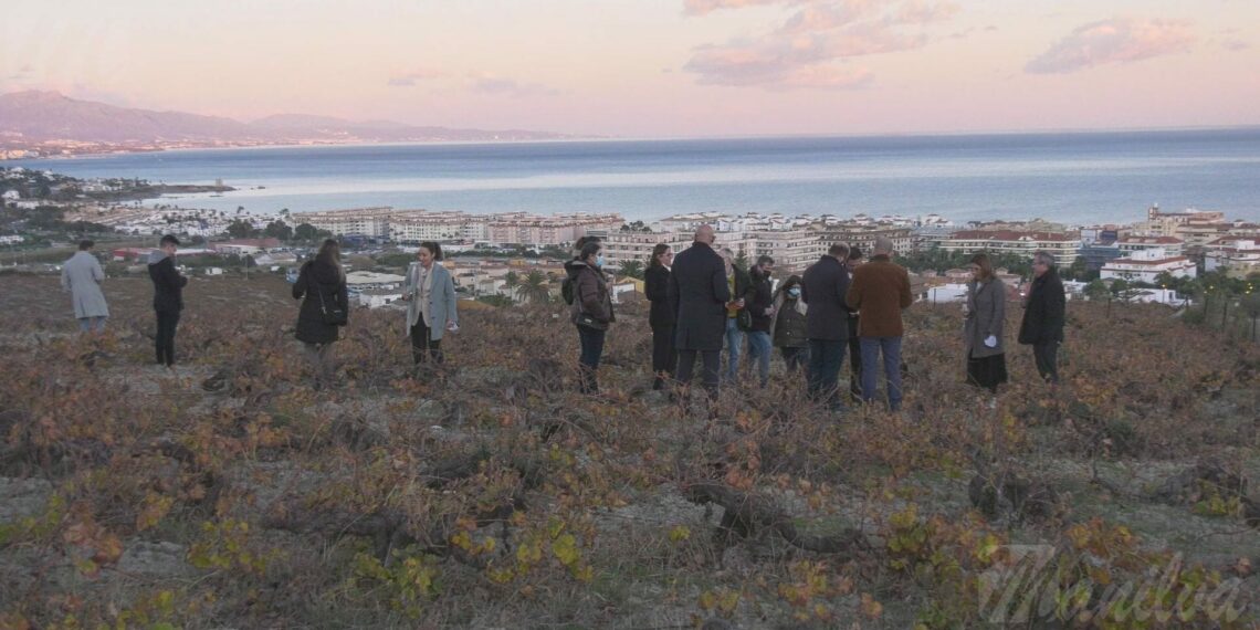 Manilva, parada obligatoria en la Gran Ruta del Vino