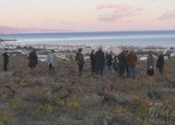 Manilva, parada obligatoria en la Gran Ruta del Vino