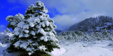 La Junta da luz verde este lunes a la declaración del Espacio Natural Sierra de las Nieves