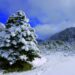 La Junta da luz verde este lunes a la declaración del Espacio Natural Sierra de las Nieves