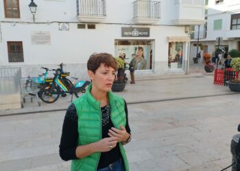 El PSOE se suma a la investigación del patrimonio municipal de Estepona