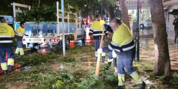 Más de un centenar de efectivos y una treintena de vehículos restablecen la normalidad tras el tornado de Marbella