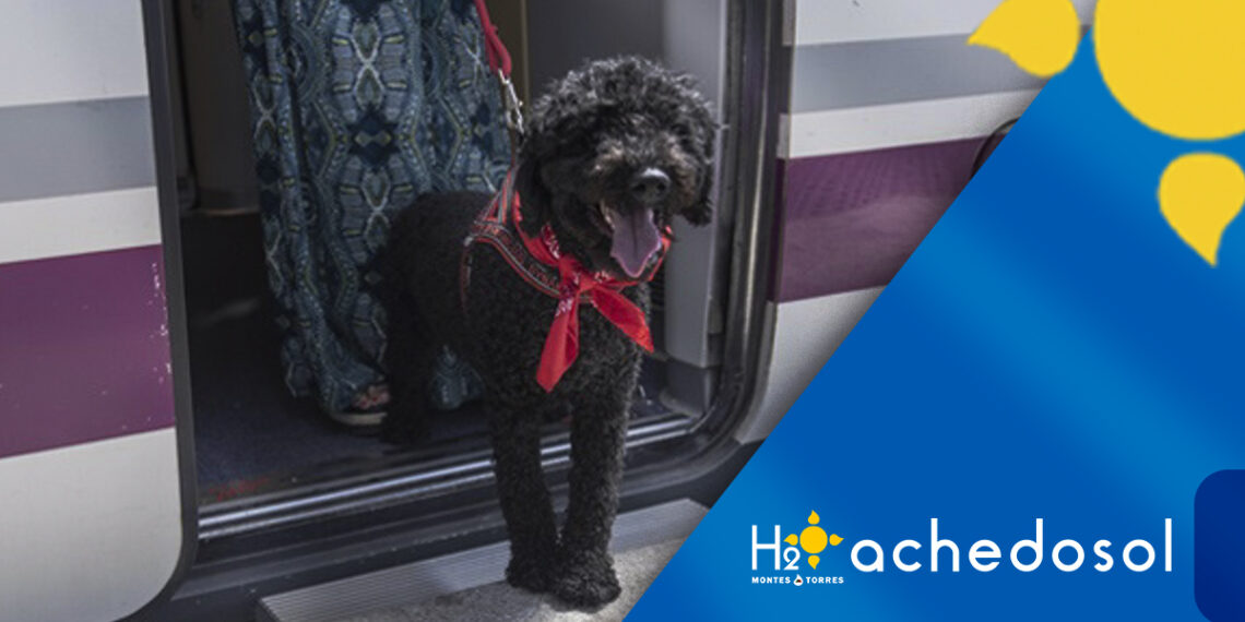 Renfe permitirá viajar a perros de hasta 40 kilos en el AVE Málaga-Madrid