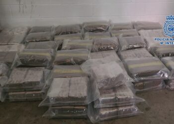 Cae en Fuengirola una red dedicada al transporte internacional de droga que ocultaban en un doble fondo de un tráiler