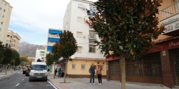 Marbella se compromete a plantar medio centenar de nuevos árboles en la avenida del Trapiche