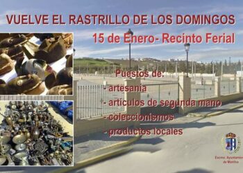 Este domingo vuelve el tradicional rastrillo a Manilva