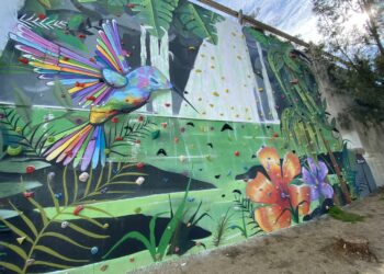 Casares contará con un rocódromo que abrirá al público el lunes 6 de febrero