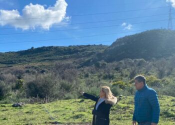 Los escolares de Casares plantarán 600 árboles en actividades medioambientales