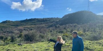 Los escolares de Casares plantarán 600 árboles en actividades medioambientales