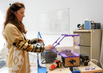 ‘Marea plastic’: cómo convertir los residuos plasticos en nuevos productos de valor