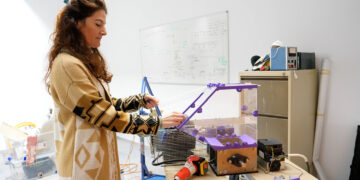 ‘Marea plastic’: cómo convertir los residuos plasticos en nuevos productos de valor