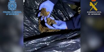 Cae en Málaga una red criminal dedicada a perpetrar ‘vuelcos’ a otros narcotraficantes