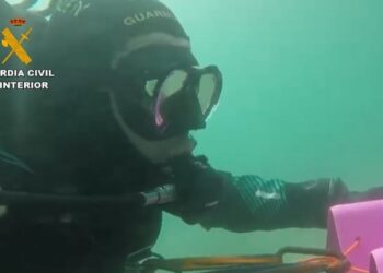 Sigue la búsqueda de restos de la mujer asesinada y arrojada al mar en Marbella