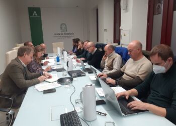 Juzgados de Estepona, Fuengirola, Marbella y Torremolinos tendrán guardias ampliadas todo el año