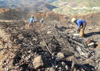 Juzgan a un hombre por el incendio de 2012 que afectó a varios municipios de la Costa del Sol