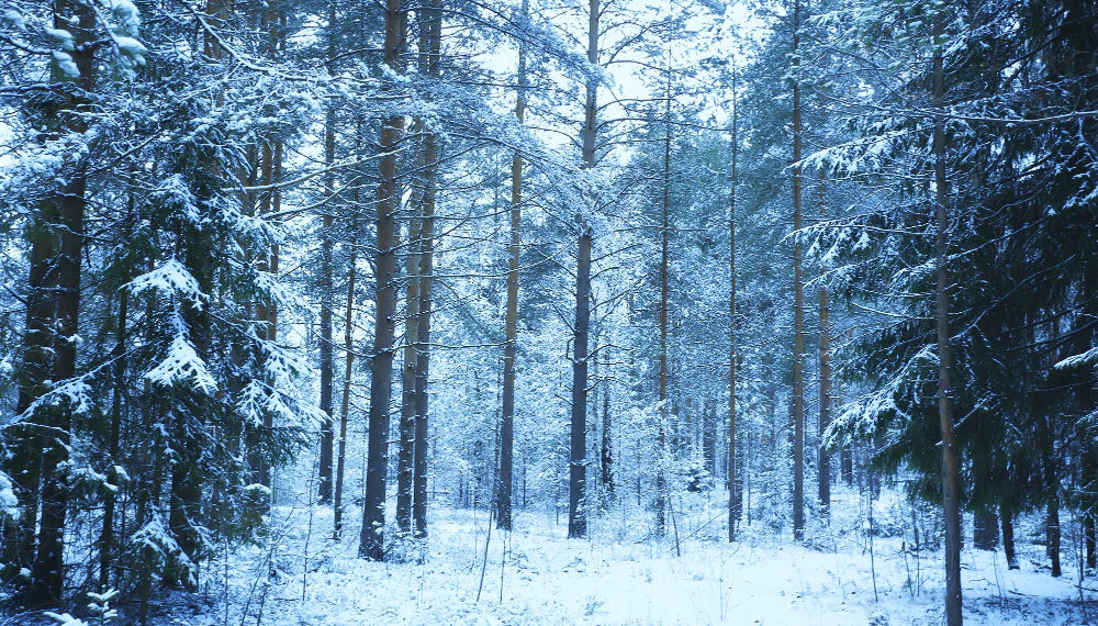 El temporal de frío y la bajada de la cota dejará la nieve muy cerca de la Costa del Sol