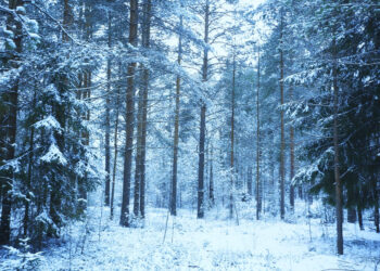 El temporal de frío y la bajada de la cota dejará la nieve muy cerca de la Costa del Sol