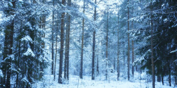 El temporal de frío y la bajada de la cota dejará la nieve muy cerca de la Costa del Sol