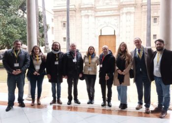 El Parlamento rechaza la iniciativa de 93 ayuntamientos, entre ellos Casares, contra la “proliferación masiva” de fotovoltaicas en zonas rurales