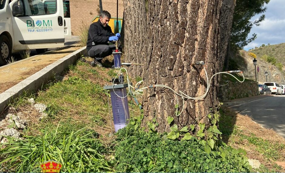 Benahavís se prepara para la primavera