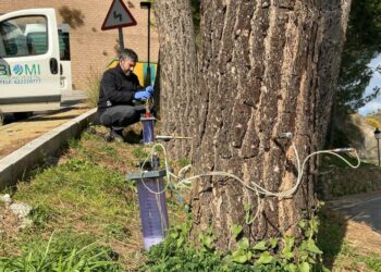 Benahavís se prepara para la primavera
