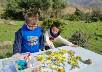 Más de 200 escolares del Blas Infante de Casares y Los Almendros de Secadero plantan árboles en el municipio
