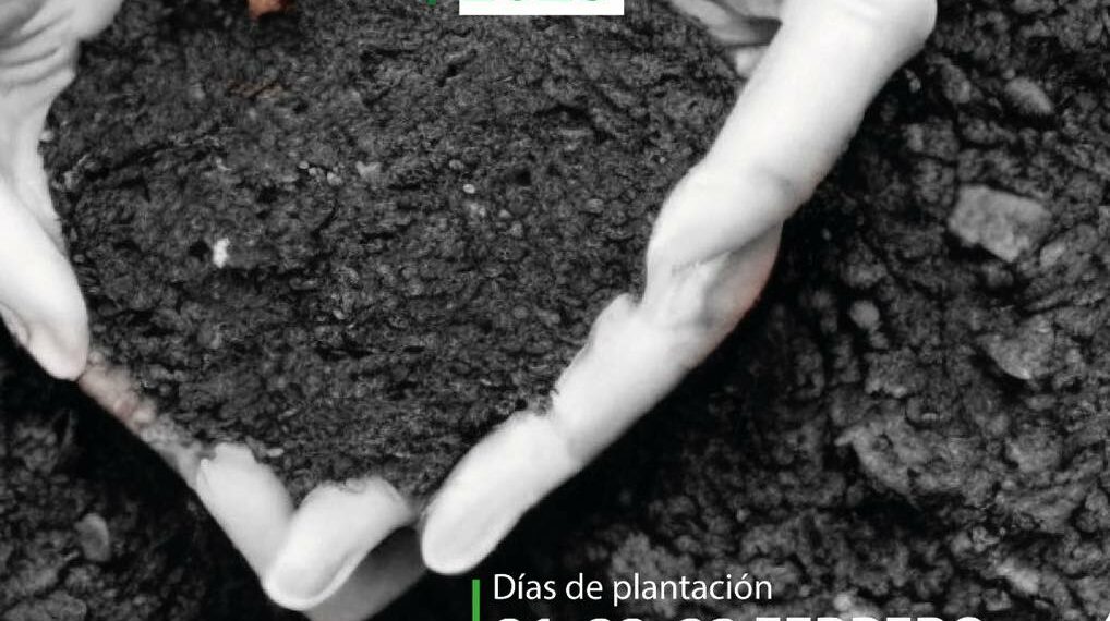 Casares acoge las I Jornadas Escolares «Planta un árbol»