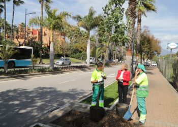 Finaliza el ajardinamiento y la renovación de la red de riego de la avenida Príncipe Salman de Nueva Andalucía