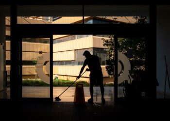 Castor, tu empresa de limpieza y control de plagas en Málaga