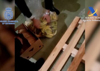Incautados en el puerto de Málaga más de 600 kilos de cocaína oculta en un cargamento de plátanos