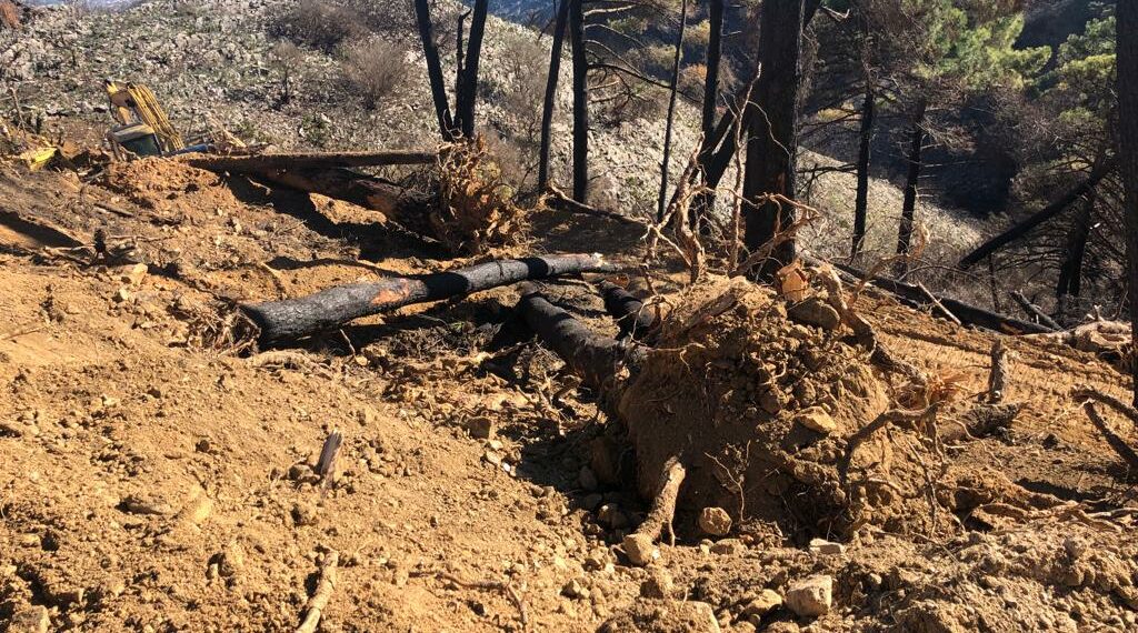Ecologistas en Acción denuncia que las actuaciones en Sierra Mijas están siendo más dañinas que el propio incendio