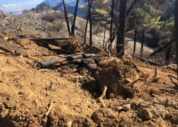 Ecologistas en Acción denuncia que las actuaciones en Sierra Mijas están siendo más dañinas que el propio incendio