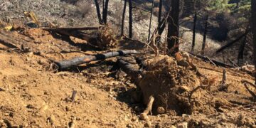 Ecologistas en Acción denuncia que las actuaciones en Sierra Mijas están siendo más dañinas que el propio incendio