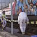 Renfe gasta en Andalucía más de 400.000 euros en la retirada de graffitis de los trenes