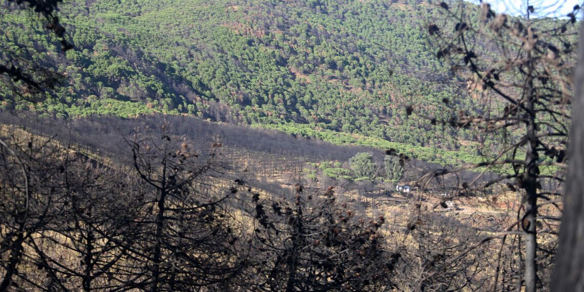 Comienza la segunda fase del plan de recuperación de Sierra Bermeja
