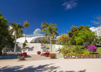 Estepona aumenta su patrimonio vegetal en más de 20.000 nuevos árboles