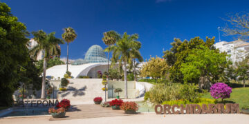 Estepona aumenta su patrimonio vegetal en más de 20.000 nuevos árboles