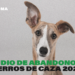 Más de 12.000 perros de caza fueron abandonados en España en 2022, con Andalucía a la cabeza con 5.542, según PACMA