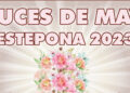 El Ayuntamiento abre el plazo para el concurso de las mejores ‘Cruces de Mayo Estepona 2023’