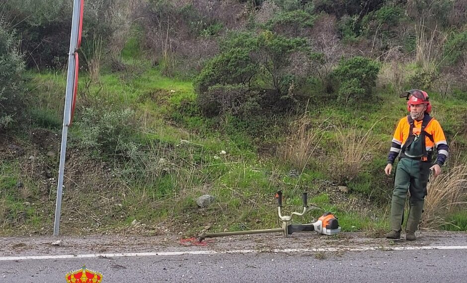 Comienzan los tratamientos forestales de prevención de incendios y mantenimiento en Benahavís