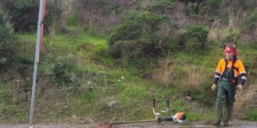 Comienzan los tratamientos forestales de prevención de incendios y mantenimiento en Benahavís