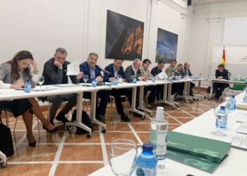 Casares participa en la reunión del Plan de Ordenación del Territorio (POT)