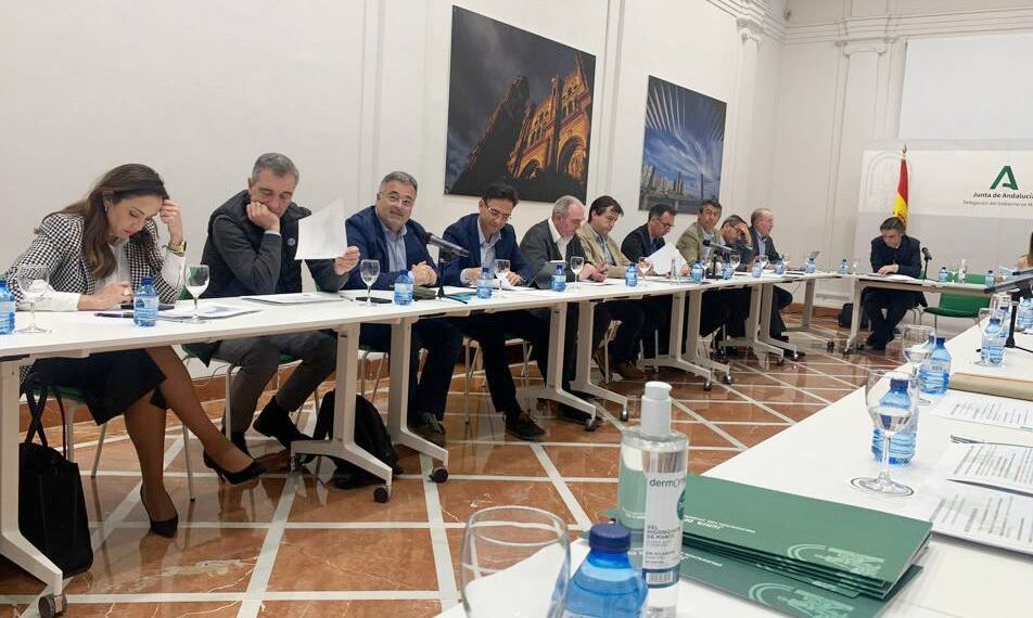 Casares participa en la reunión del Plan de Ordenación del Territorio (POT)
