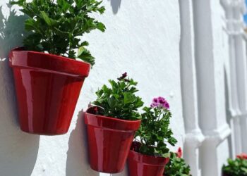 Nuevas acciones del Plan de Embellecimiento «Casares se luce»