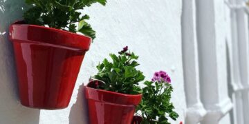 Nuevas acciones del Plan de Embellecimiento «Casares se luce»