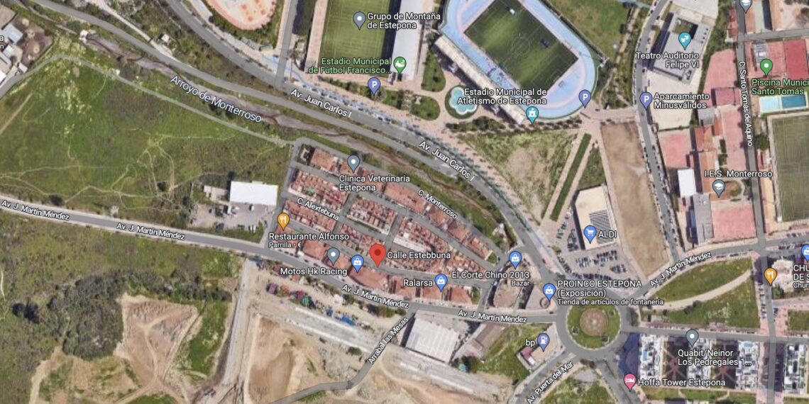 Herido un hombre tras precipitarse cuando cortaba una palmera en Estepona