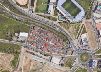 Herido un hombre tras precipitarse cuando cortaba una palmera en Estepona