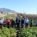 Mijas entrega cinco huertos urbanos a vecinos de la localidad