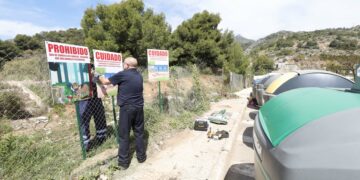 Marbella trata de controlar la población de jabalíes con una campaña informativa en los puntos más conflictivos